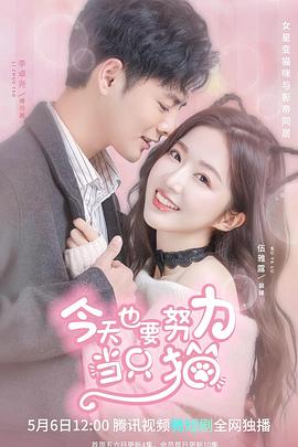 今天也要努力当只猫 第01集