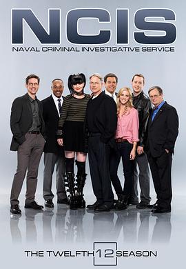 海军罪案调查处第十二季 第05集