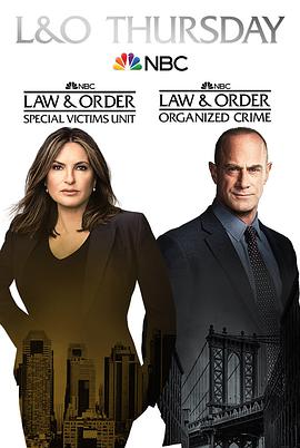 法律与秩序：组织犯罪第二季 第02集