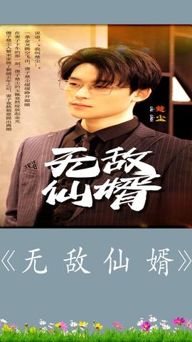 无敌仙婿 全集(大结局)