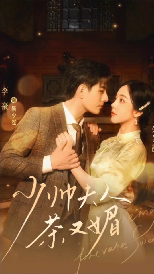 少帅夫人茶又媚 第03集