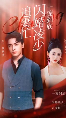 一宠到底，闪婚凌少追妻忙120集 1-20集