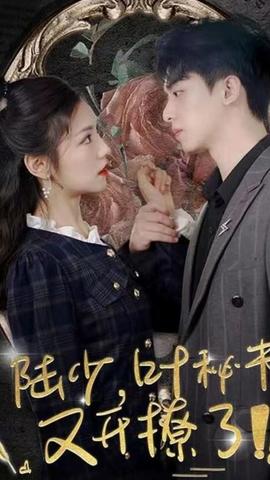 陆少，叶秘书又开撩了 1-10集