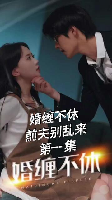 纠缠不休，潜伏别乱来 41-60集