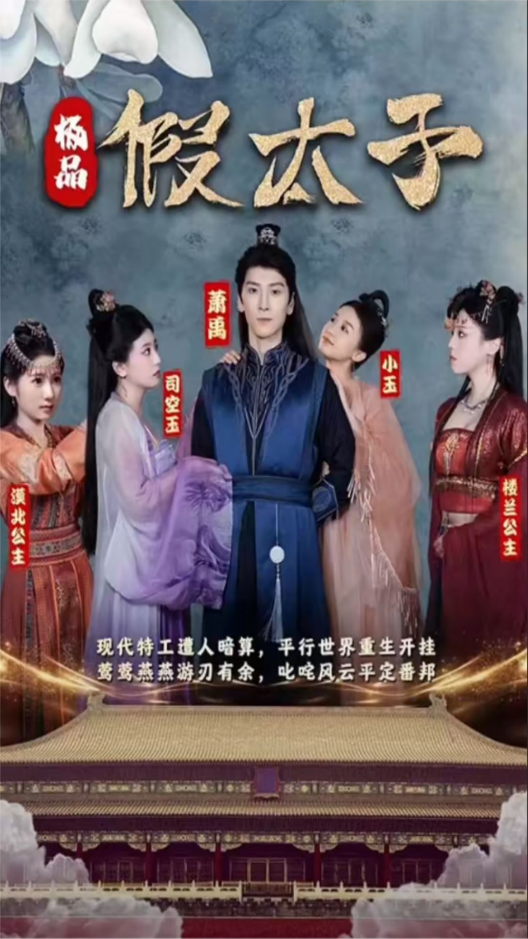 极品假太子 1-20集