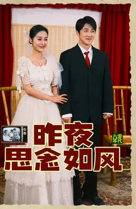 昨夜思念如风 21-40集