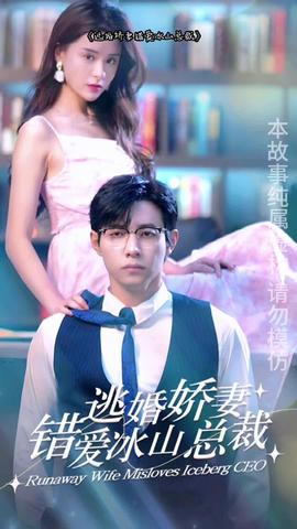 逃婚娇妻错爱冰山总裁 21-40集