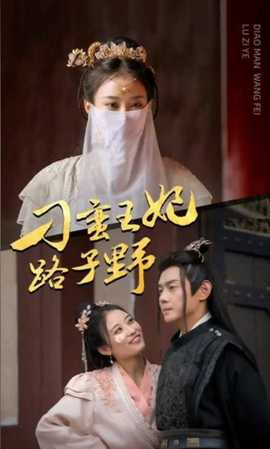 刁蛮王妃路子野 11-20集