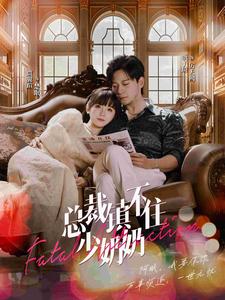 总裁镇不住少奶奶 全集(大结局)