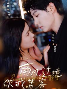 南风国境你我皆客 全集