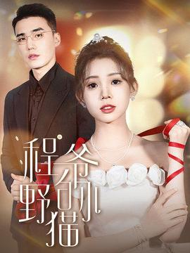 程爷的小野猫 合集版