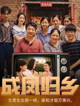 女总裁成凤归乡 全集(大结局)