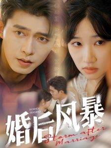 婚后风暴 全集(大结局)
