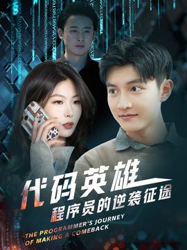 代码英雄程序员的逆袭征途 全集(大结局)