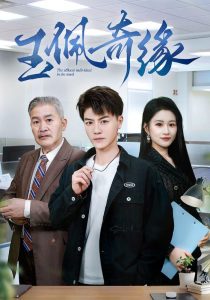 玉佩奇缘 全集(大结局)