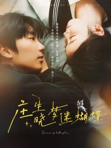 庄生晓梦迷蝴蝶 全集(大结局)