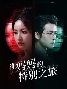 准妈妈的特别之旅 全集(大结局)