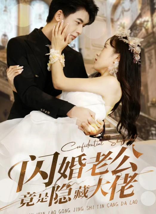 闪婚老公竟是隐藏大佬 全集(大结局)