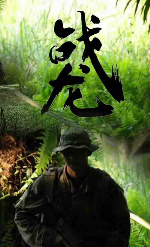 战龙 全集(大结局)