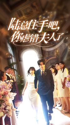 陆总住手吧，你虐错夫人了 第01集