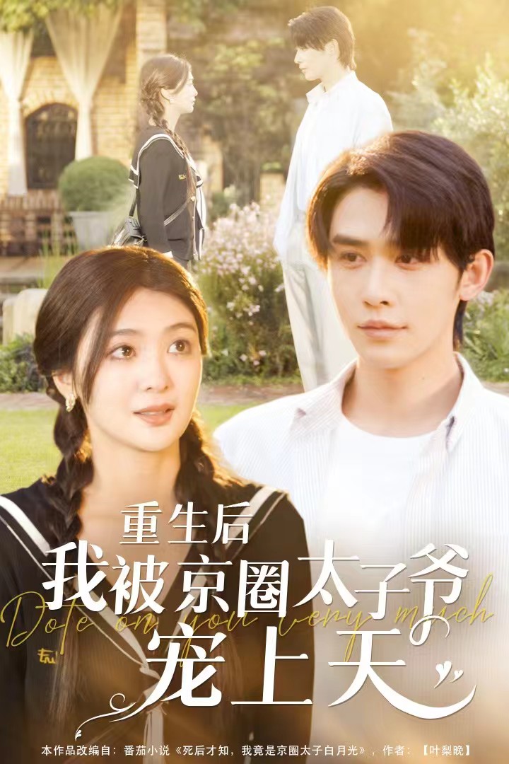 重生后我被京圈太子爷宠上天 第09集